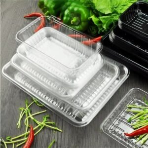 Food-Grade Plastic Trays and Packaging Boxes