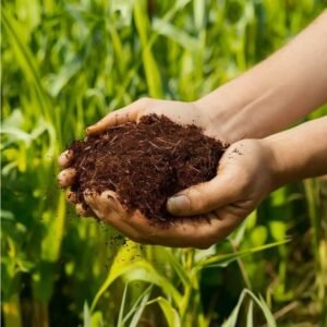 Organic Compost and Bio-Fertilizers