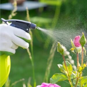Pesticides and Insecticides